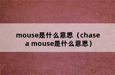 mouse是什么意思（chase a mouse是什么意思）